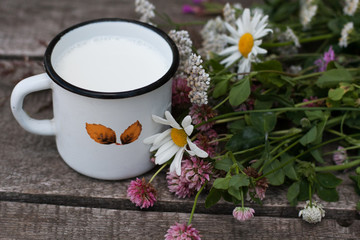 Obraz na płótnie Canvas a cup of milk with herbal
