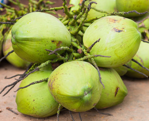 Closer Coconut cluster