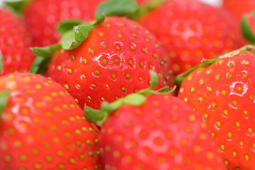red strawberry fruit