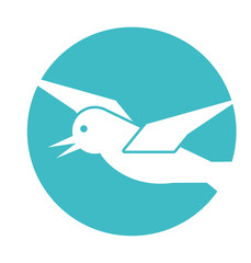 gull flying isolated icon vector illustration design