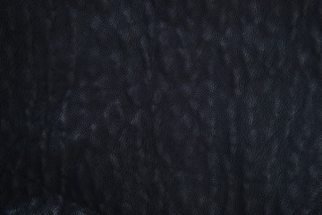 Leather texture close-up photo