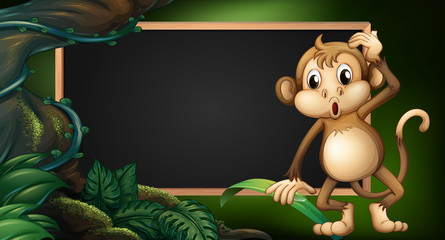 Frame template with monkey in the wild