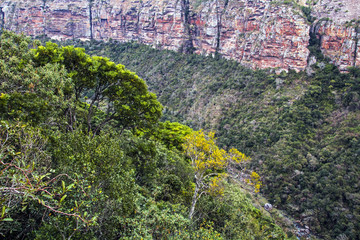 Green Trees Gorge Mountains and Valleys Against  Cloudy Sky
