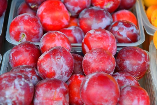 Fresh ripe plum