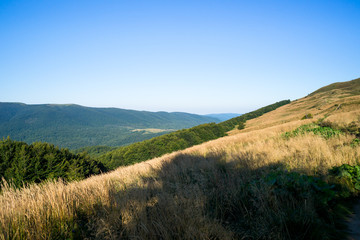 Połonina Caryńska, Bieszczady Polska