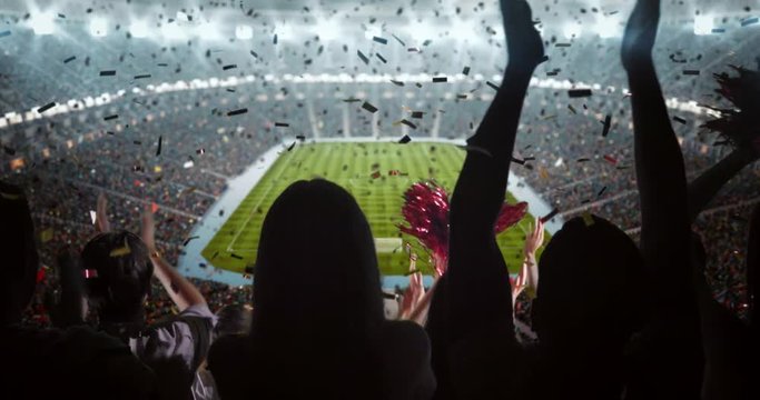 Fans cheer at the stadium