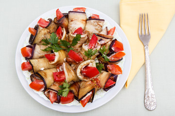 Fried eggplant slices with tomatoes and cheese sauce