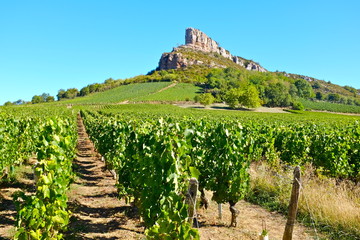 vignoble solutr&eacute; pouilly
