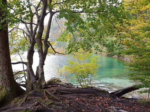 Herbstlandschaft am Hintersteiner See in Tirol