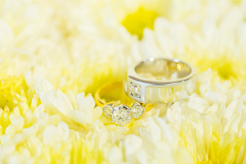 wedding rings on flower