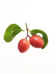 Carissa carandas fruit on white background