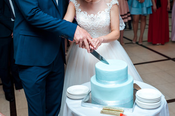 A beautiful blue wedding cake is being cut by the Newlyweds