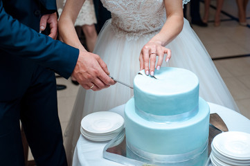 A beautiful blue wedding cake is being cut by the Newlyweds