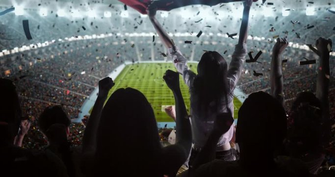 Fans cheer at the stadium