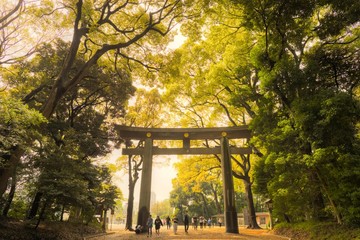 Obraz premium Gate of MEIJI-JINGU