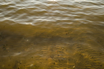 water of Danube close up