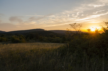 sun is coming up, misty landscape in summer morning