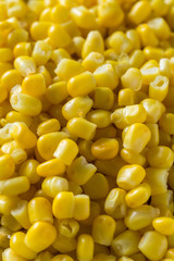 Closeup macro above cooked corn in the bowl