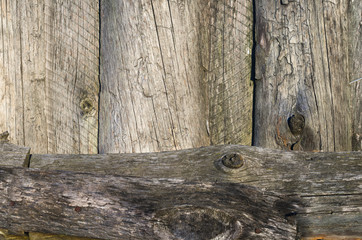 Old boards together with knots and traces of bark beetle texture background