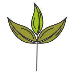 leaf plant ecology icon vector illustration design
