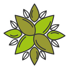 leaf plant ecology icon vector illustration design