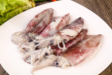 Raw squid