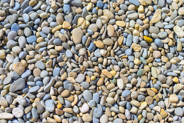 Multicolored sea pebbles, natural background, texture