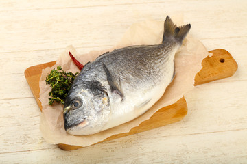 raw dorada fish