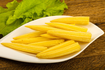 Young baby corn
