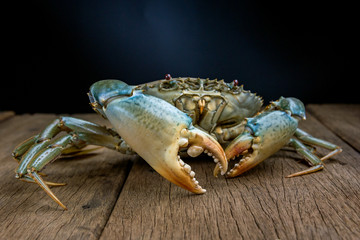 Crab meat in various gestures.