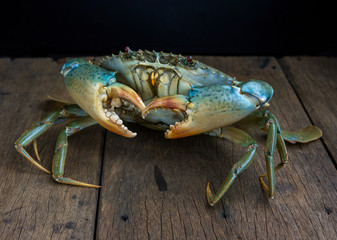 Crab meat in various gestures.