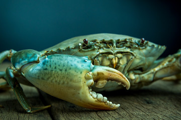 Crab meat in various gestures.