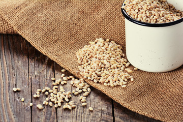 Pearl barley grain seed on wooden background