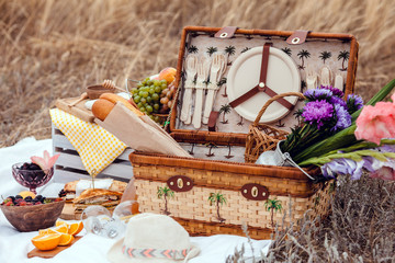 Picnic set with fruit, cheese, toast, honey, wine with a wicker basket on bedspread. Beautiful summer background with food and drink on nature