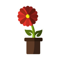 flower in pot icon image vector illustration design