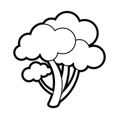Healthy vegetable broccoli illustration vector icon design graphic paint 