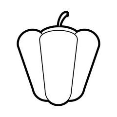 Melon sweet fruit icon vector illustration design graphic