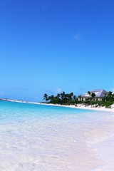bahamas caribbean island - 169101317