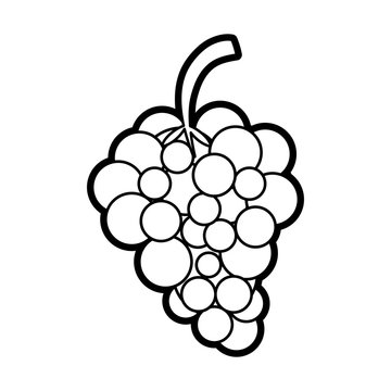 Sweet fruit grapes icon vector illustration design graphic paint 
