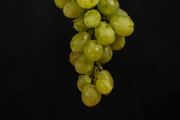 Green grapes hanging with drops of water