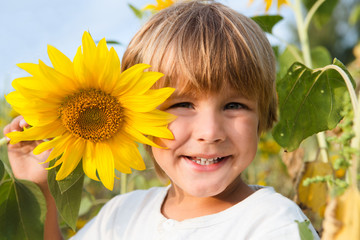 Happy  little boy with a sunflower on sunflower field outdoors. Life style, summer time, real emotions