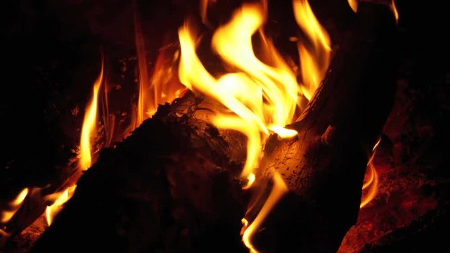 Campfire In The Night. Burning logs in orange flames closeup. Background of the fire. Beautiful fire burns brightly. Embers of the fire climb up. Red flames surging up.