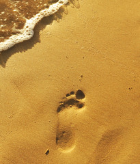 Human footprint on the beach