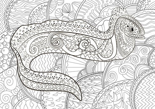 Illustration of a moray in zentangle style.
