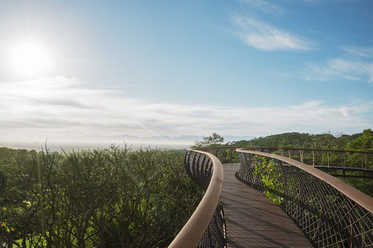 Fototapeta Bridge in the sky over the jungle