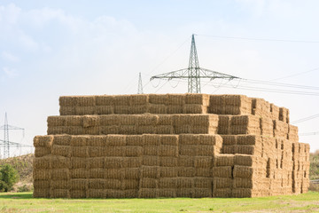 Viele gestapelte Heuballen auf einem Feld