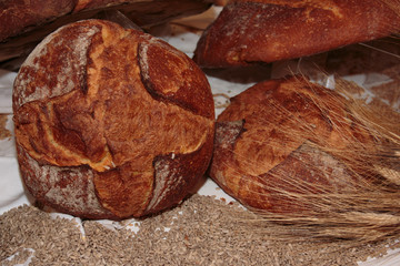 Altamura Italian Fresh Bread