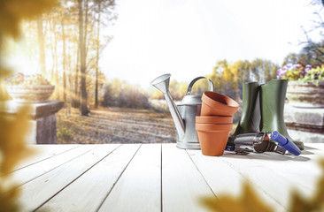 Fototapeta premium autumn garden