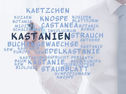 Kastanien
