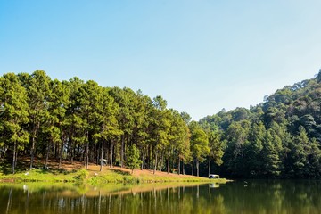 Landscape fir forest and reflections lake in the morning at Pang Ung in Mae Hong Son, Thailand.